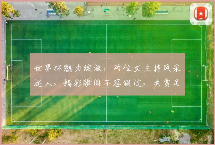 世界杯魅力绽放，两位女主持风采迷人，精彩瞬间不容错过，共赏足球盛宴